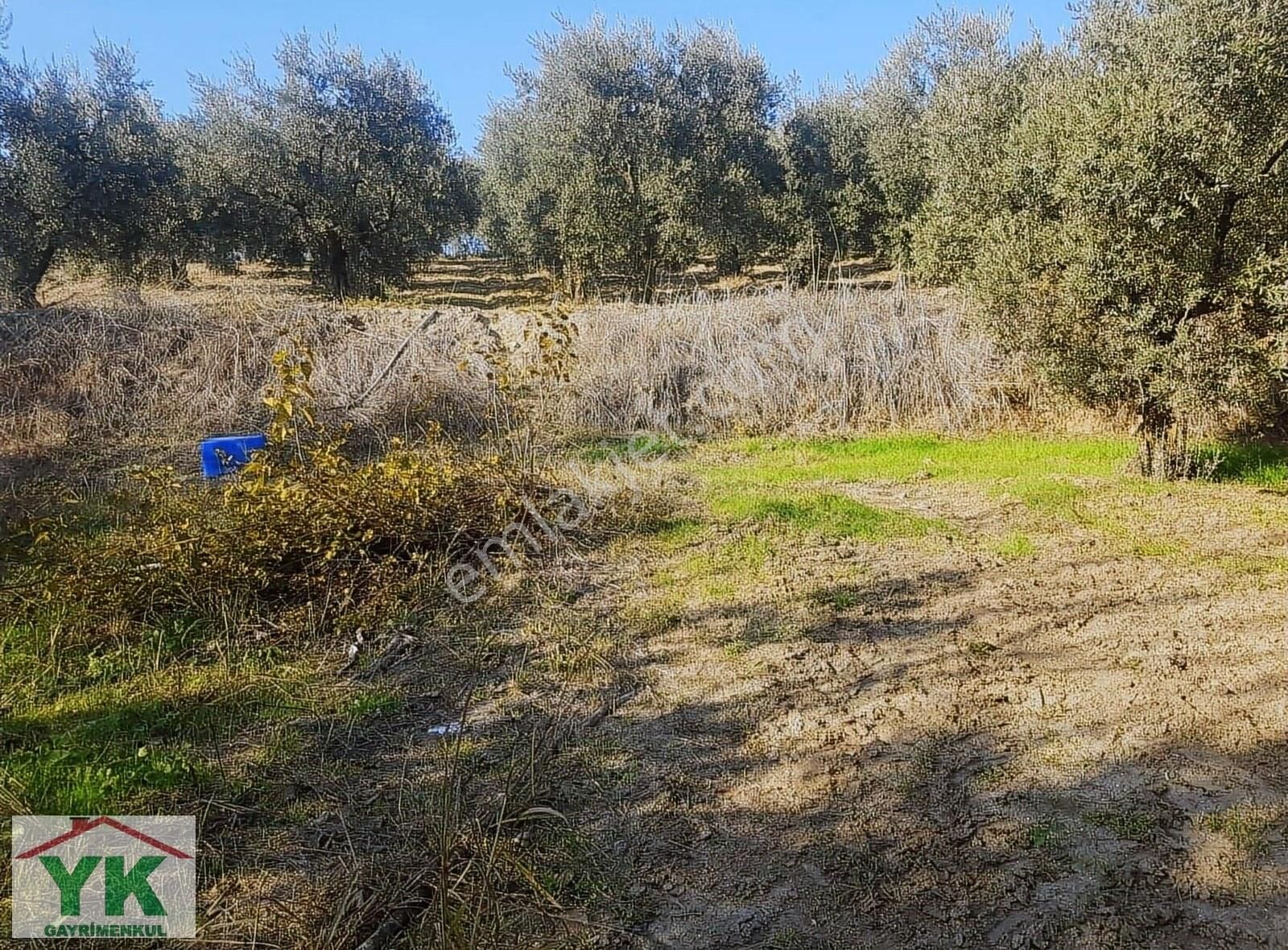 Bursa Nilüfer Konaklı Tek Tapu 416 M² Satılık Tarla - Görsel 4