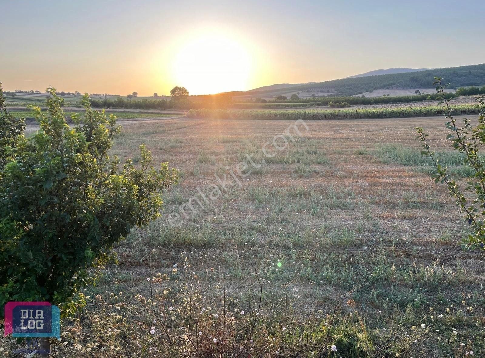 Yenişehir Kavaklı Satılık Tarla Bursa Yenişehir Kavaklı Da 4400 M² Yola Cephe Tarla