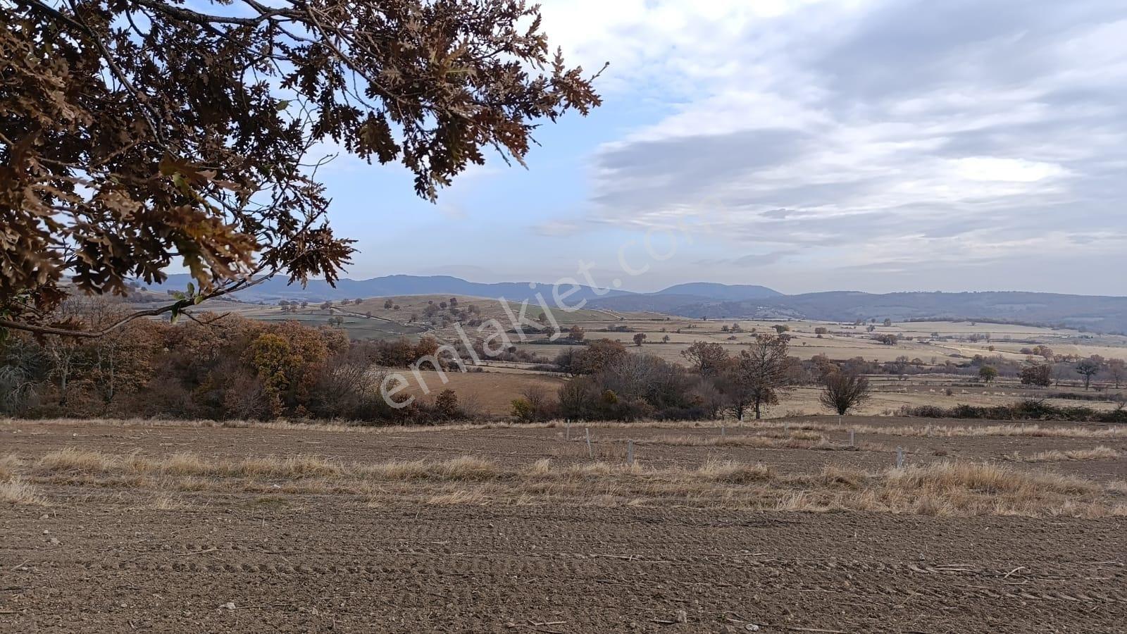 Kofçaz Yeşillik Satılık Konut İmarlı Kırklareli/kofçaz/yeşillik Mahallesi Satılık Arsa