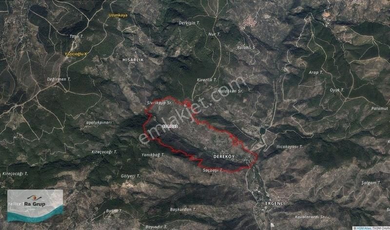 İzmir Bayındır Dereköy' De Yola Cepheli Zeytinlik - Görsel 5