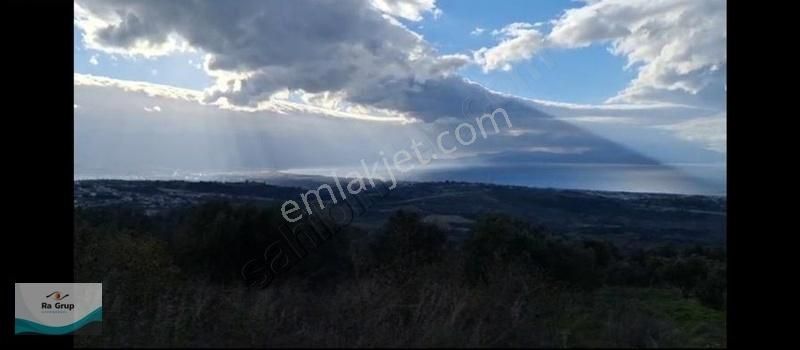 Kuşadası Milli Park Sisam Adası Ve Deniz Manzaralı 9424 M2 Arazi - Görsel 10