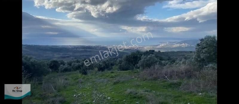 Kuşadası Milli Park Sisam Adası Ve Deniz Manzaralı 9424 M2 Arazi - Görsel 2