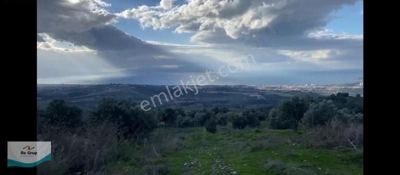Kuşadası Milli Park Sisam Adası Ve Deniz Manzaralı 9424 M2 Arazi - Görsel 6