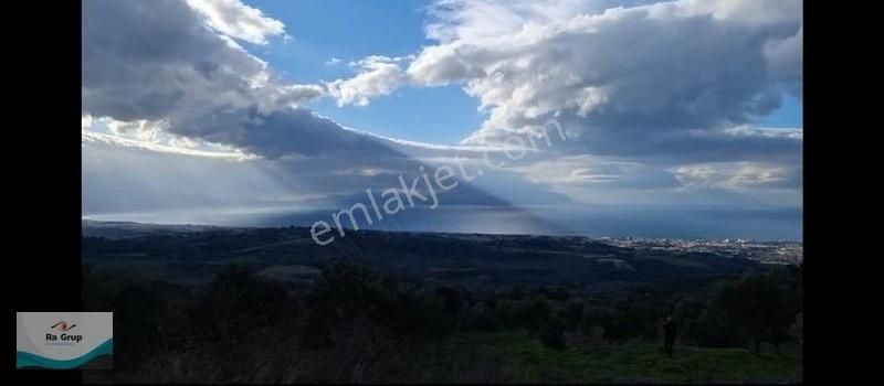 Kuşadası Milli Park Sisam Adası Ve Deniz Manzaralı 9424 M2 Arazi - Görsel 11