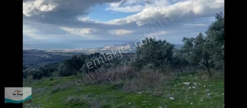 Kuşadası Milli Park Sisam Adası Ve Deniz Manzaralı 9424 M2 Arazi - Görsel 7