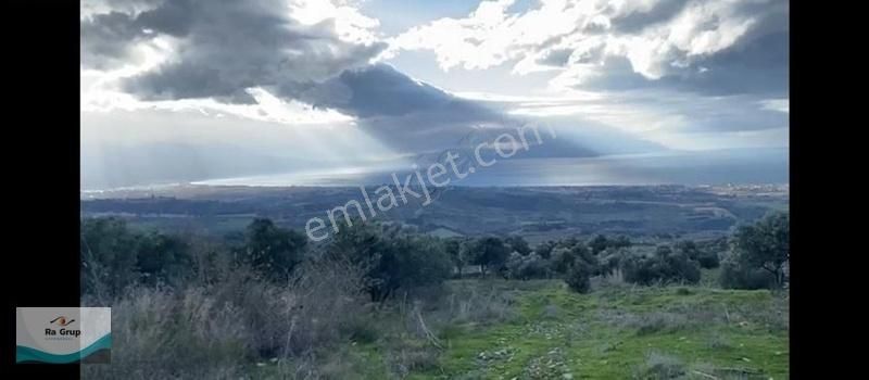 Kuşadası Milli Park Sisam Adası Ve Deniz Manzaralı 9424 M2 Arazi - Görsel 5