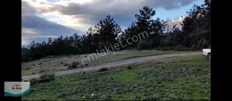 Kuşadası'nda Deniz Ve Orman Manzaralı 32597m2 Arazi - Görsel 11