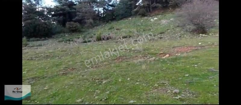 Kuşadası'nda Deniz Ve Orman Manzaralı 32597m2 Arazi - Görsel 2