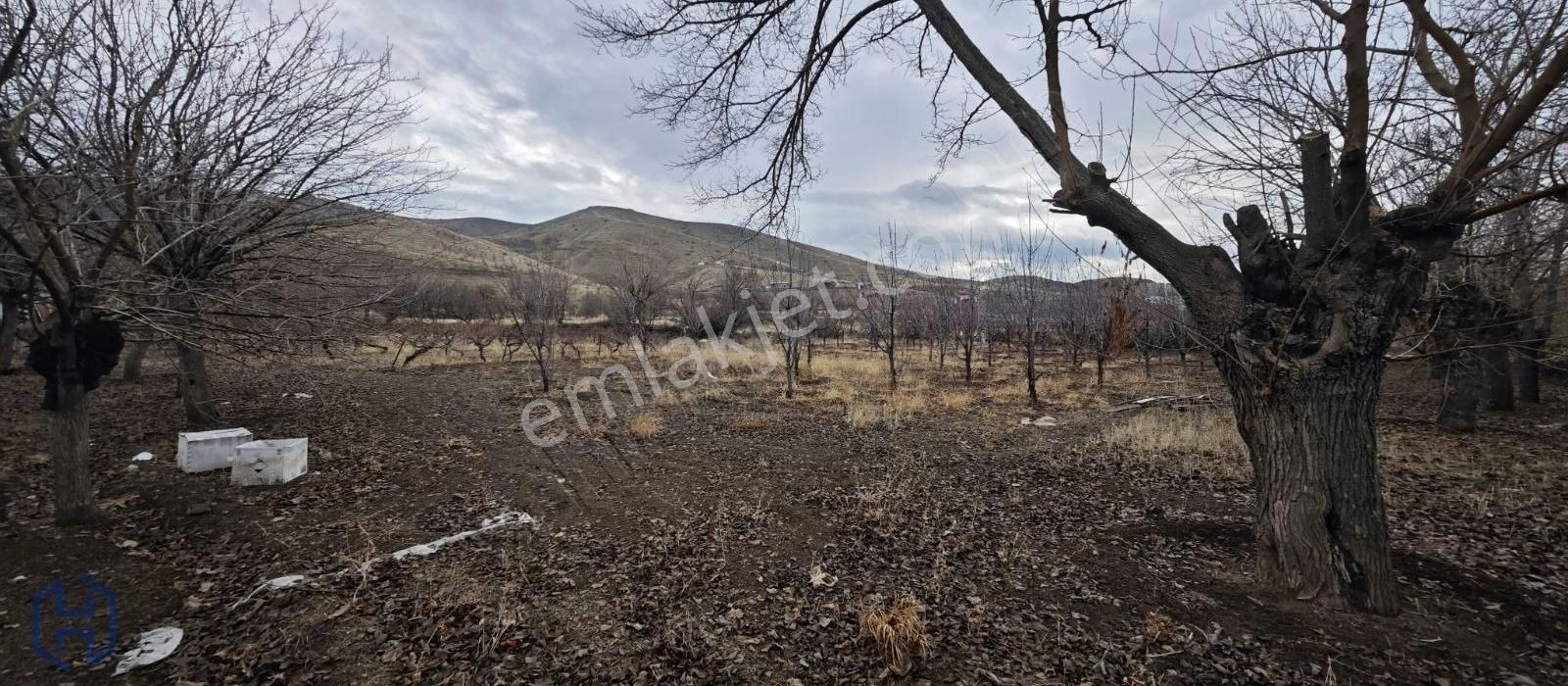 Elazığ Merkez Gözebaşı Köyü Satılık Tarla Harbert Gayrimenkul Gözebaşı Kinederiç Yatırımlık Satılık Bahçe