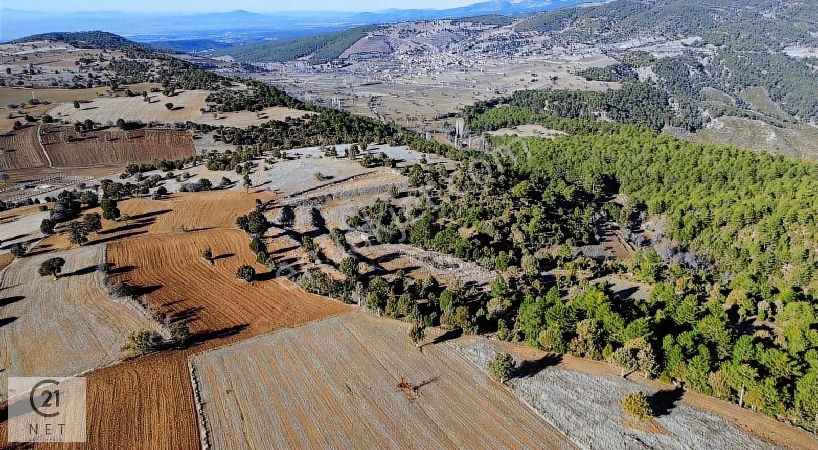 Tavas Pınarlık Satılık Tarla Century 21 Net'ten Tavas Pınarlık'ta Topam 17.000 M2 Arazi