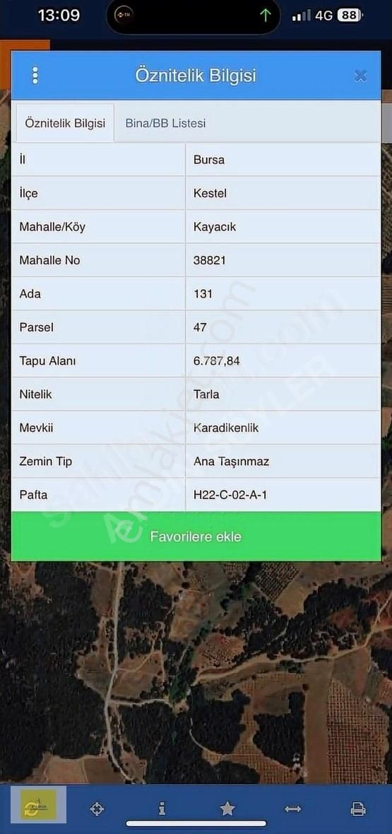 Aydın Söyler Gayrimenkul'den Kestel Kayacık Mah Kupon Tarla - Görsel 2