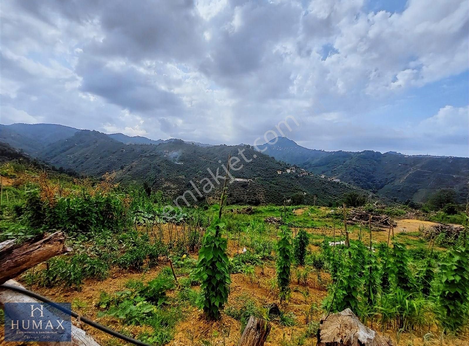 Giresun Merkez Eriklimanı Köyü (Gaziler Tepesi Üst) Satılık Bağ & Bahçe Erikliman Köyü 2000m2 Satılık Fındık Bahçesi