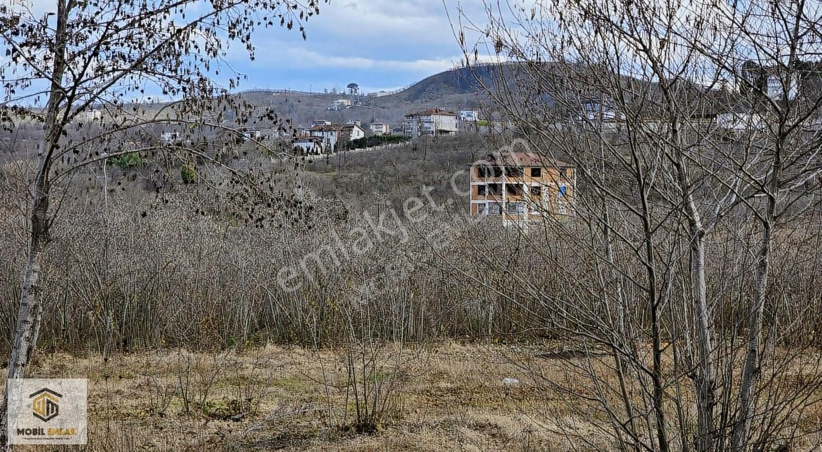 Fatsa Bolamanda 10.060 M2 Deniz Manz.düz Satılık Fındık Bahçesi - Görsel 15