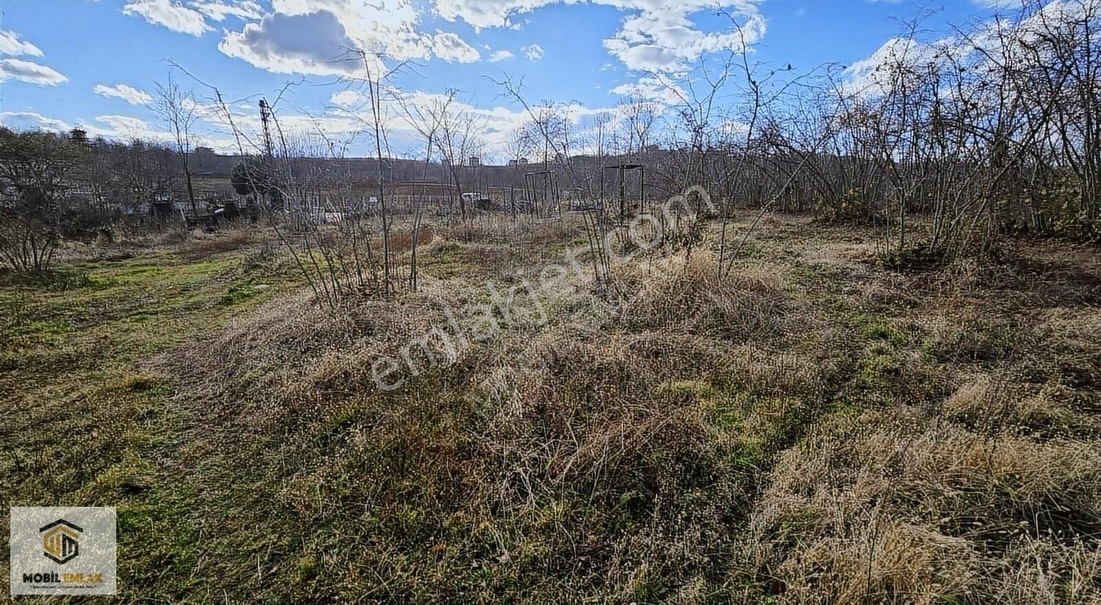 Fatsa Bolamanda 10.060 M2 Deniz Manz.düz Satılık Fındık Bahçesi - Görsel 13