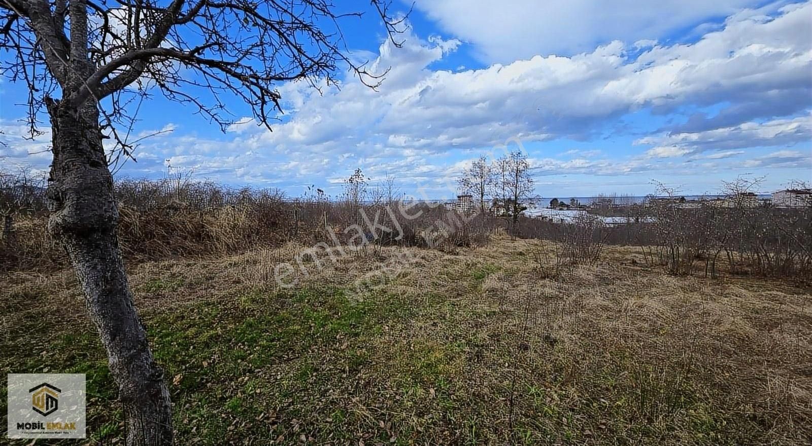 Fatsa Bolamanda 10.060 M2 Deniz Manz.düz Satılık Fındık Bahçesi - Görsel 23