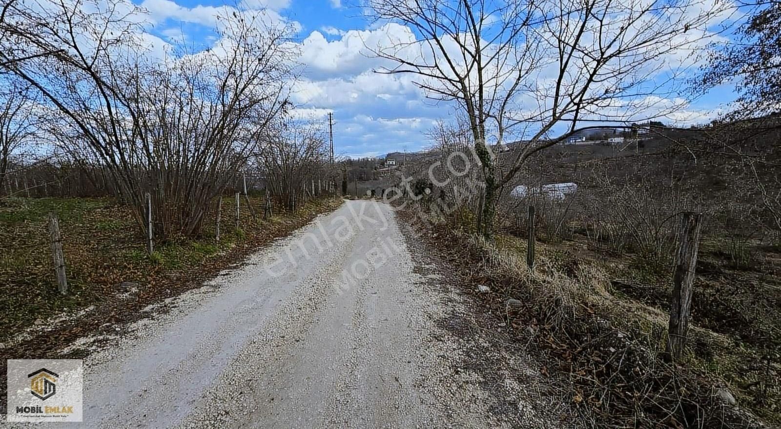 Fatsa Bolamanda 10.060 M2 Deniz Manz.düz Satılık Fındık Bahçesi - Görsel 28