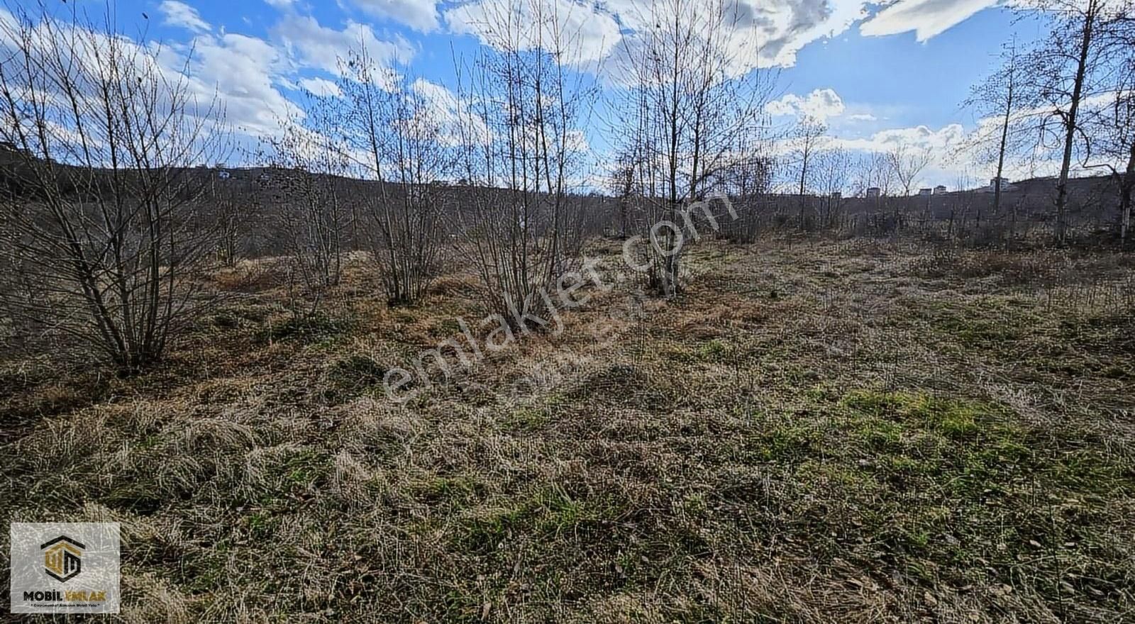 Fatsa Bolamanda 10.060 M2 Deniz Manz.düz Satılık Fındık Bahçesi - Görsel 27