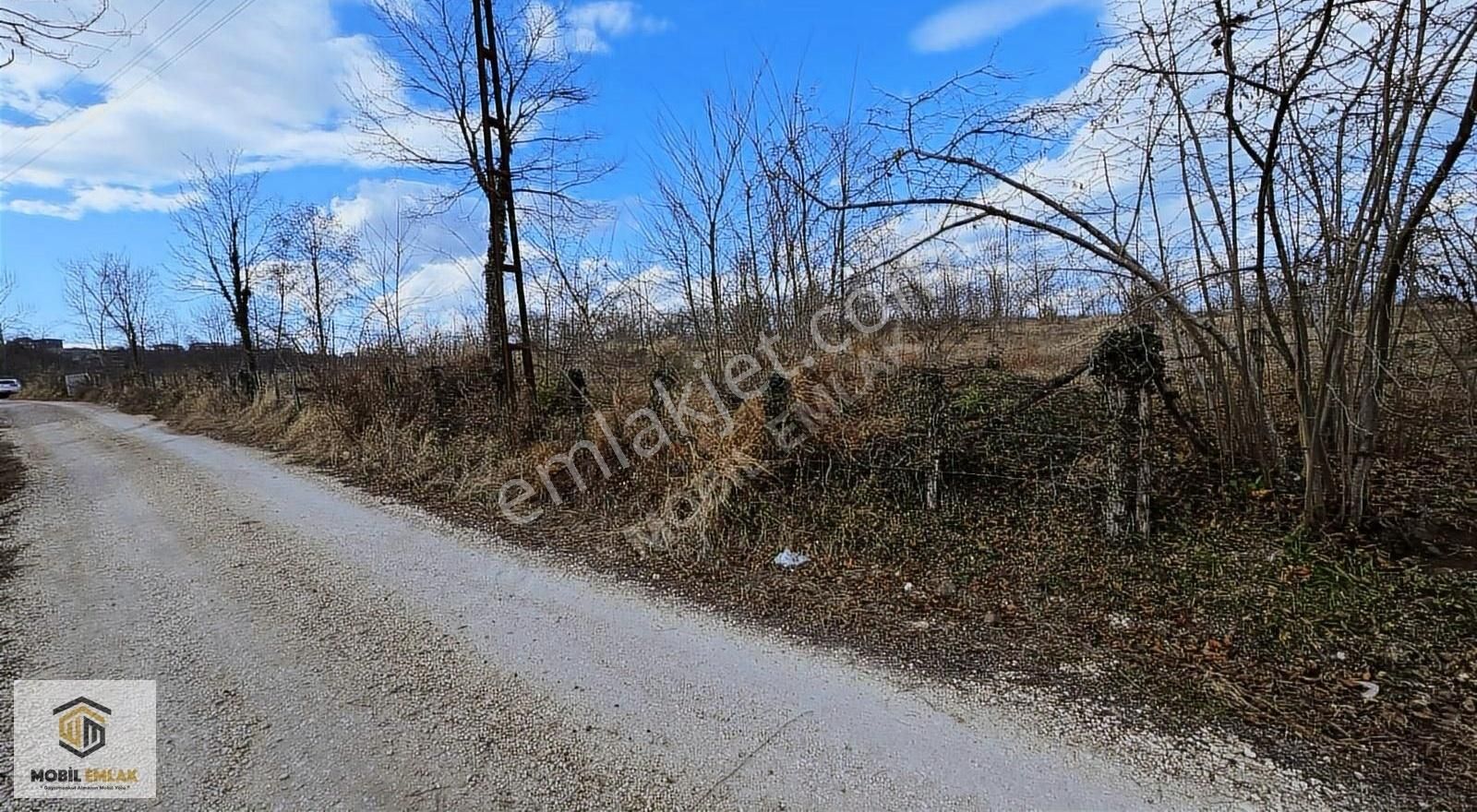 Fatsa Bolamanda 10.060 M2 Deniz Manz.düz Satılık Fındık Bahçesi - Görsel 8