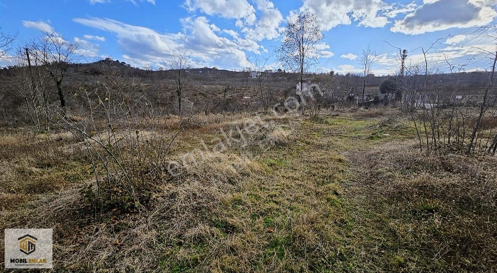 Fatsa Bolamanda 10.060 M2 Deniz Manz.düz Satılık Fındık Bahçesi - Görsel 5