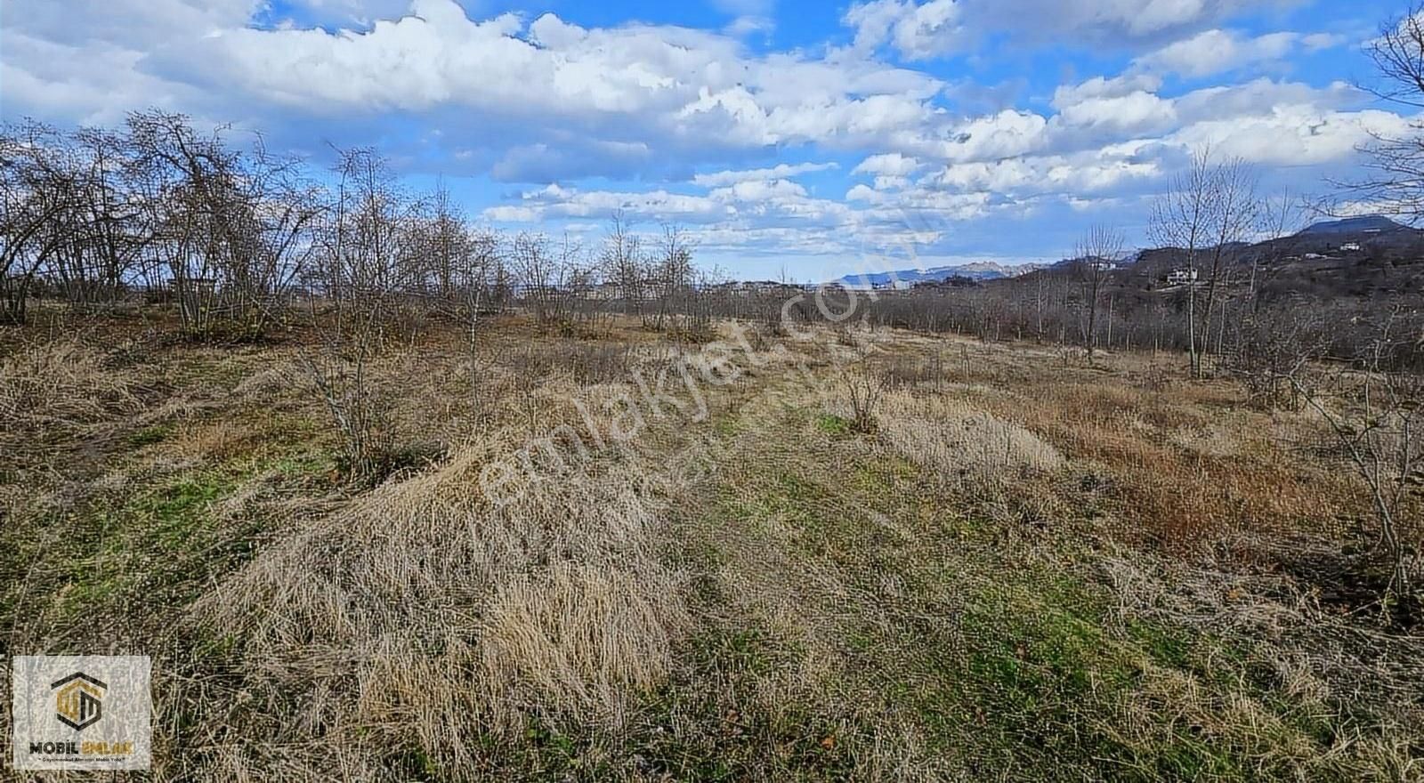 Fatsa Bolamanda 10.060 M2 Deniz Manz.düz Satılık Fındık Bahçesi - Görsel 25