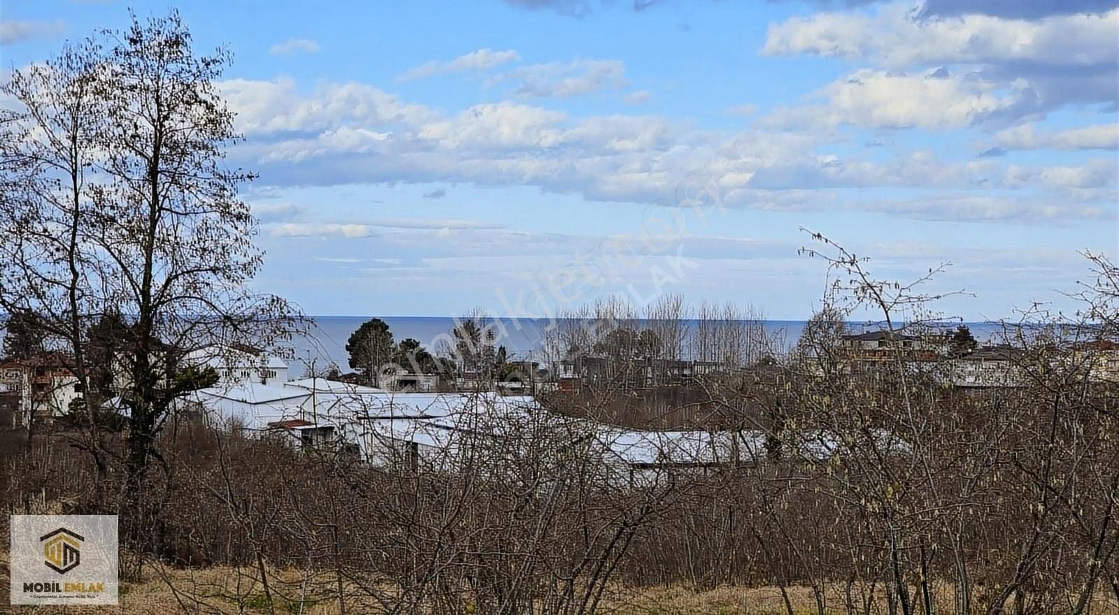 Fatsa Bolamanda 10.060 M2 Deniz Manz.düz Satılık Fındık Bahçesi - Görsel 4