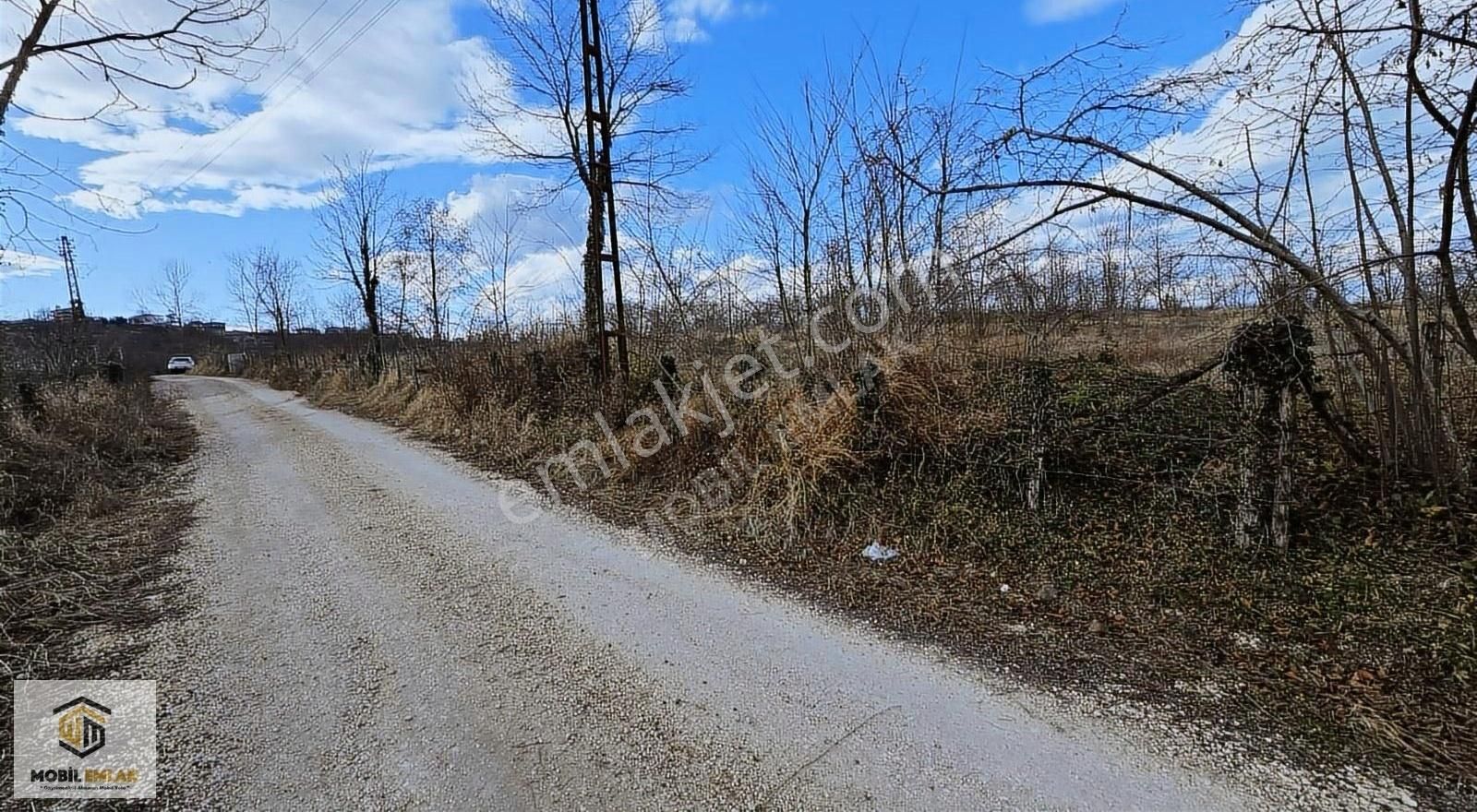 Fatsa Bolamanda 10.060 M2 Deniz Manz.düz Satılık Fındık Bahçesi - Görsel 24