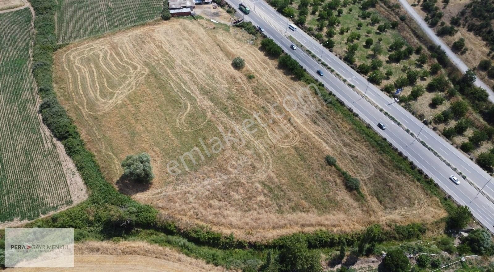 Ezine Gazi Satılık Tarla Çanakkale-izmir Asfaltına 13m Mesafede Nitelikli Arazi