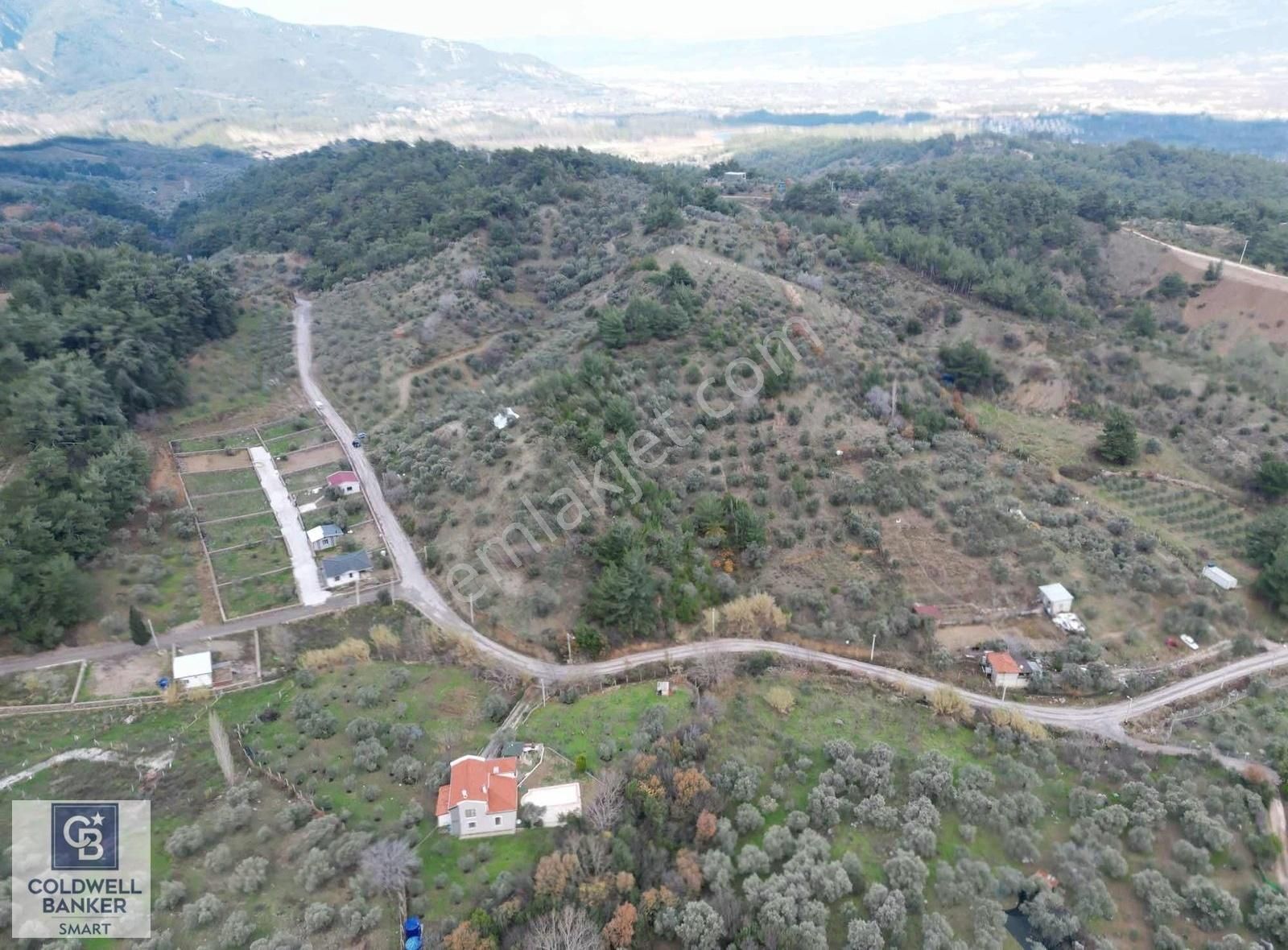 Kemalpaşa Yukarıkızılca Merkez Satılık Tarla Yukarıkızılca'da Tek Tapulu Arazi