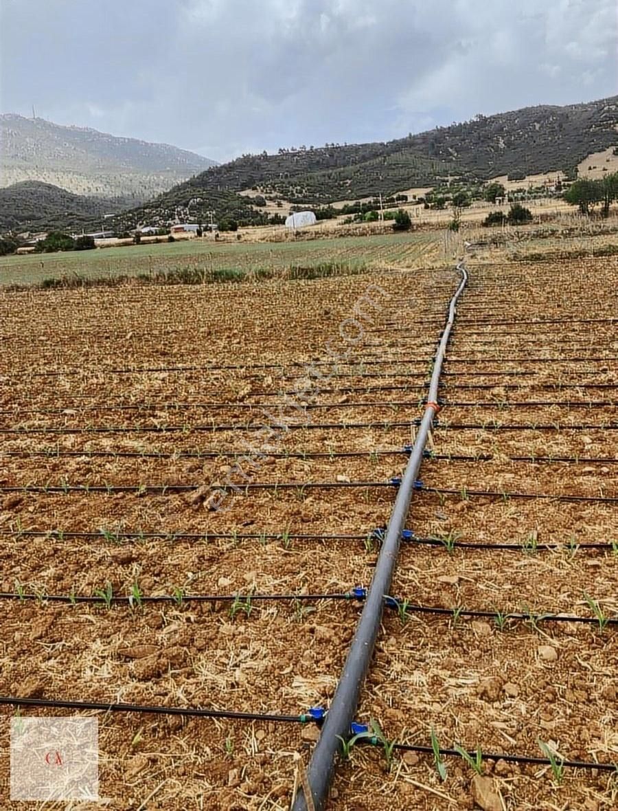 Çeltikçi Bağsaray Köyü (Yaka) Satılık Tarla Burdur Çeltikci Hayvancılık Org Bölgesinde Satılık 1005 M² Tarla