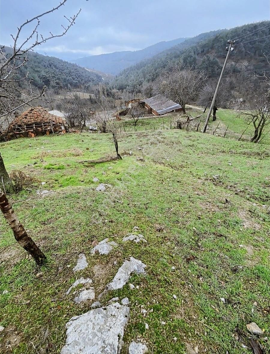 Soma Kozluören Satılık Müstakil Ev Çam Ormanları İçerisinde Doğal Yaşam Sunuyoruz.