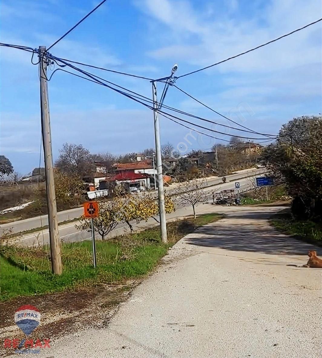 Biga Sinekçi Köyü Satılık Konut İmarlı Biga Sinekçi Köyünde Anayol Üzeri Satılık Arsa