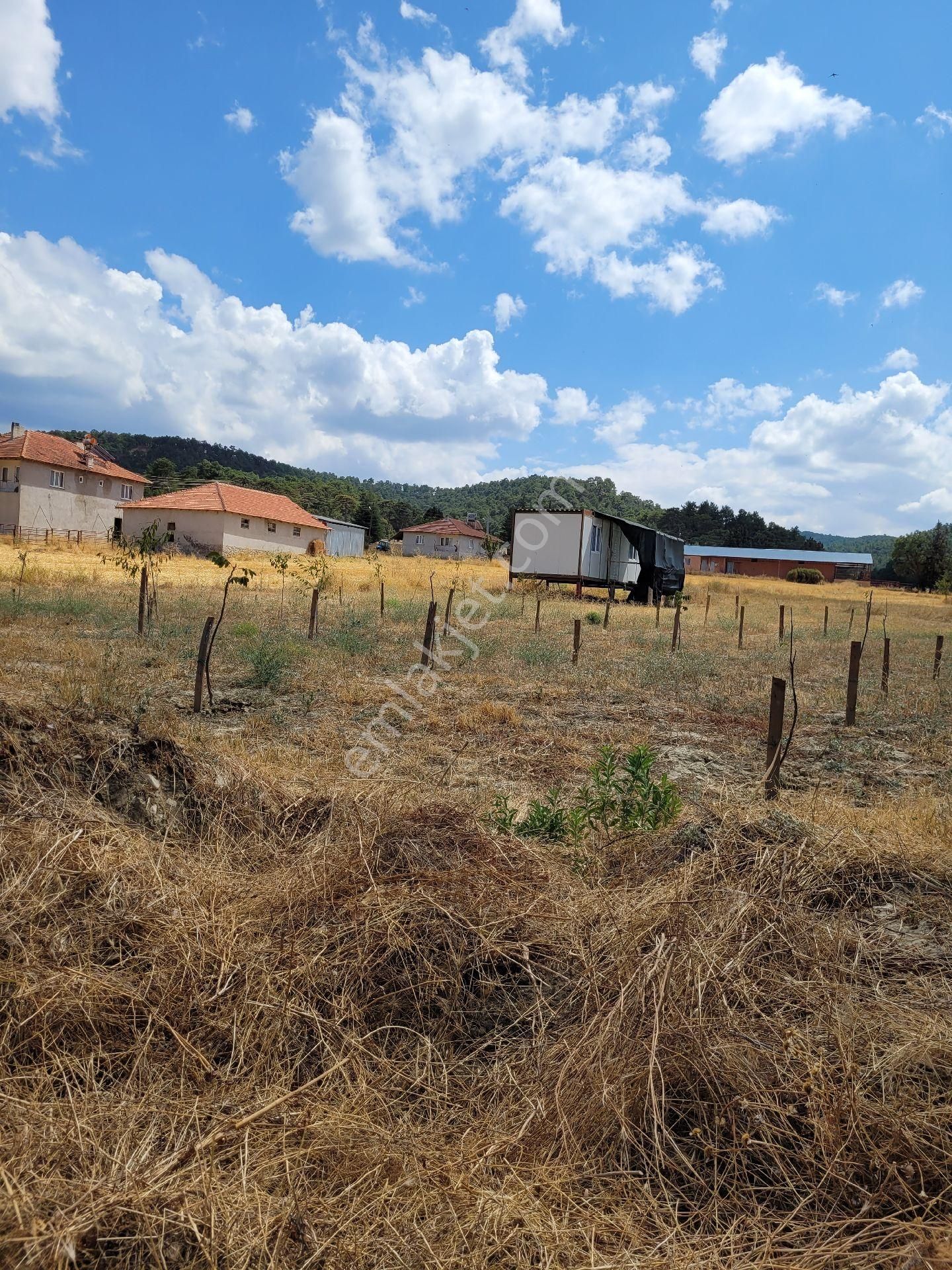 Kemer Akçaören Köyü Satılık Tarla Burdur Akçaören Satlık 1366mt2 Satlık Tarla