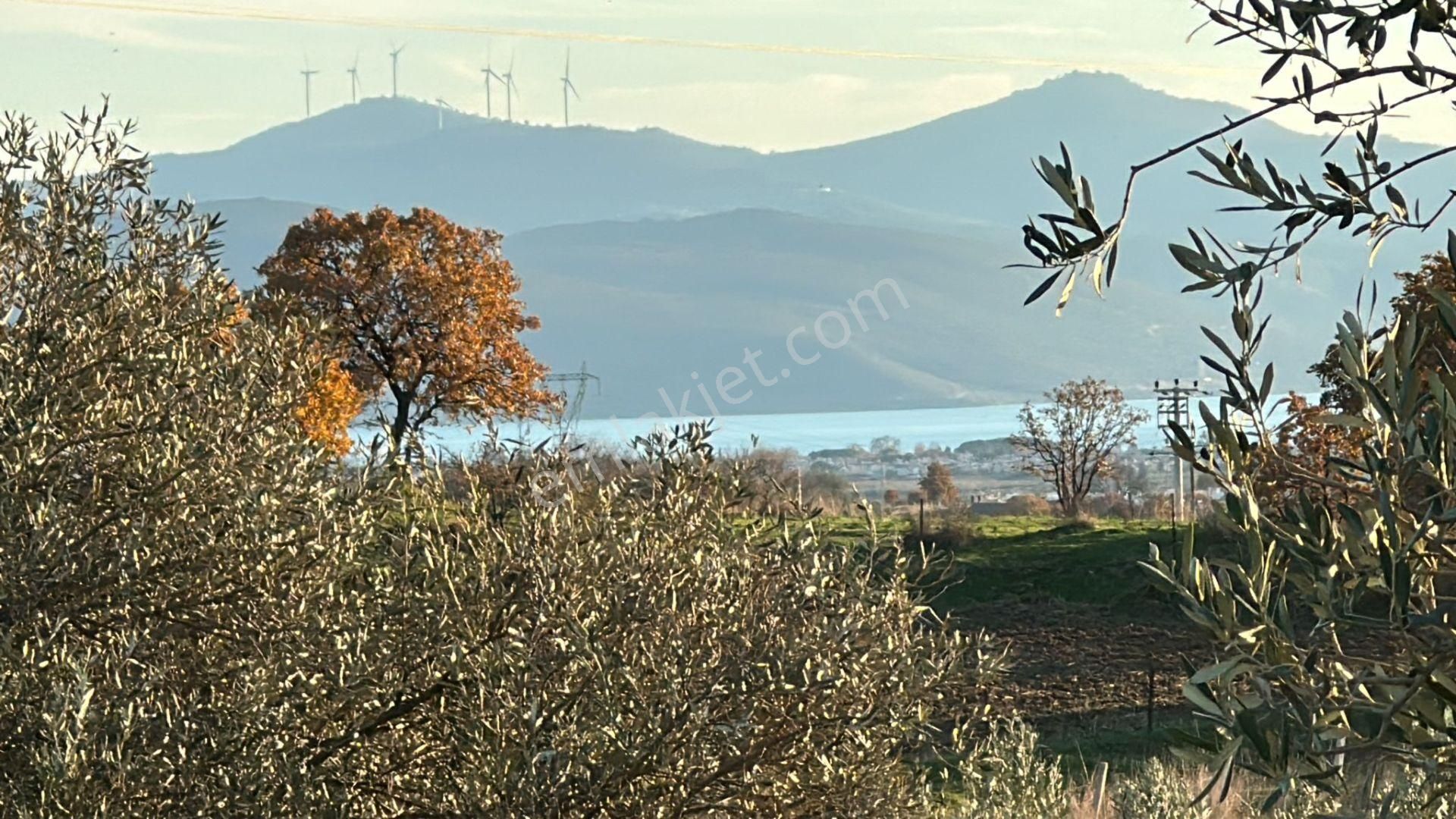İzmir Dikili Kıratlıda Acil Satılık İçinde Evi Olan 330m2 Tarla - Görsel 6