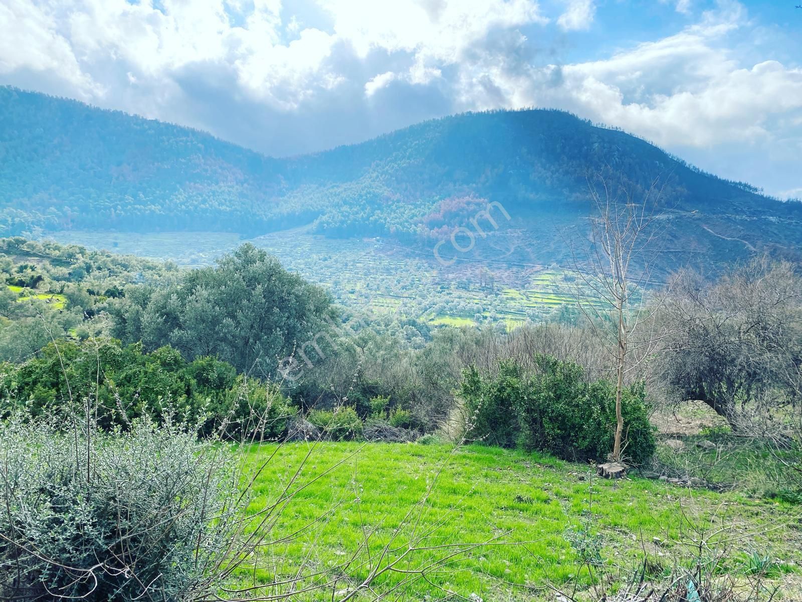 Bodrum Gökpınar Satılık Konut İmarlı Bodrum Gökpınar Projesi Onaylı Doğa Manzaralı Arsa