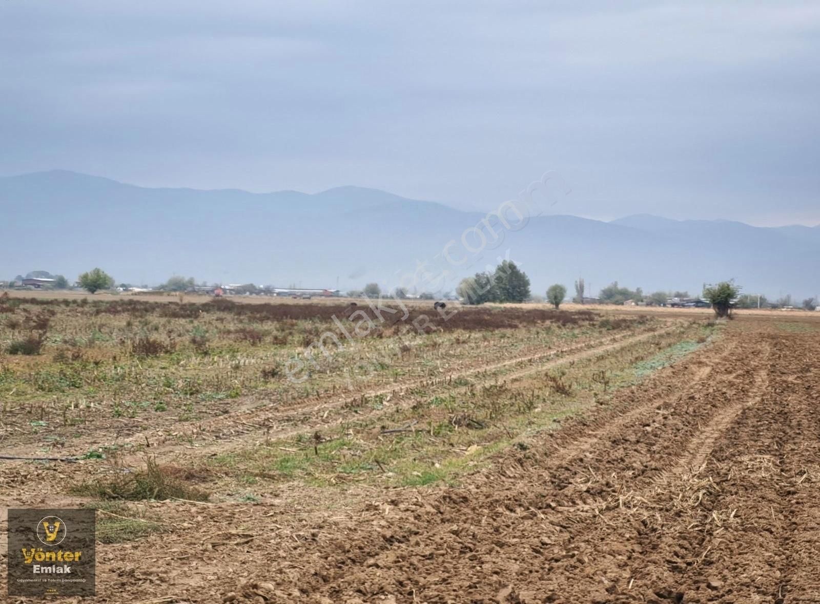 Yönter Emlaktan Akkoyunlu Ovasında 20.234 M² Tarla - Görsel 3