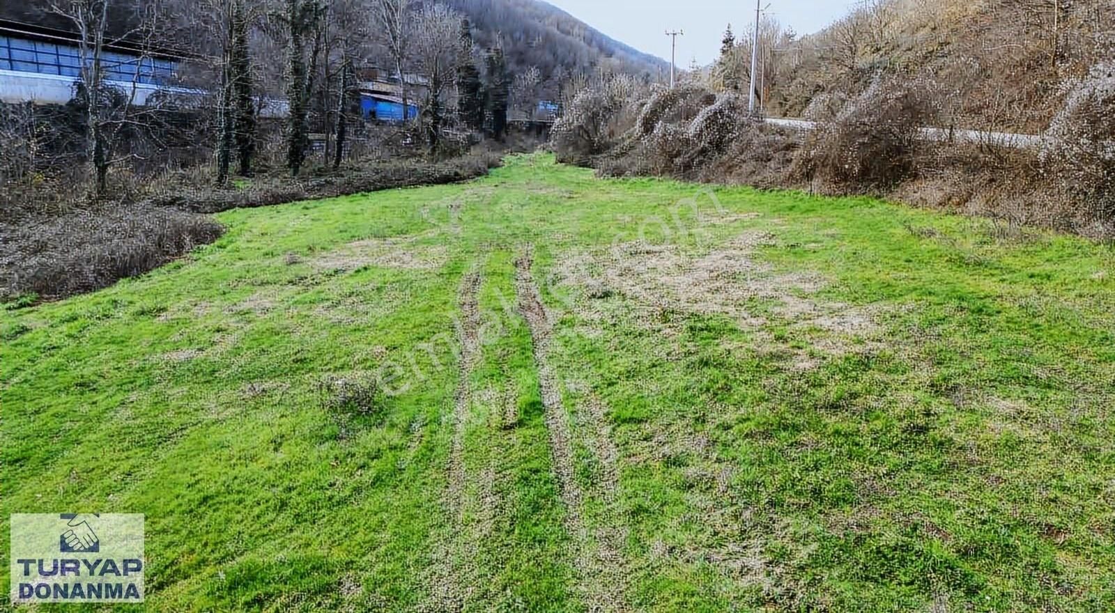 Gölcük Lütfiye Satılık Tarla Lütfiye Köyünde Yol Kenarında Satılık Tarla