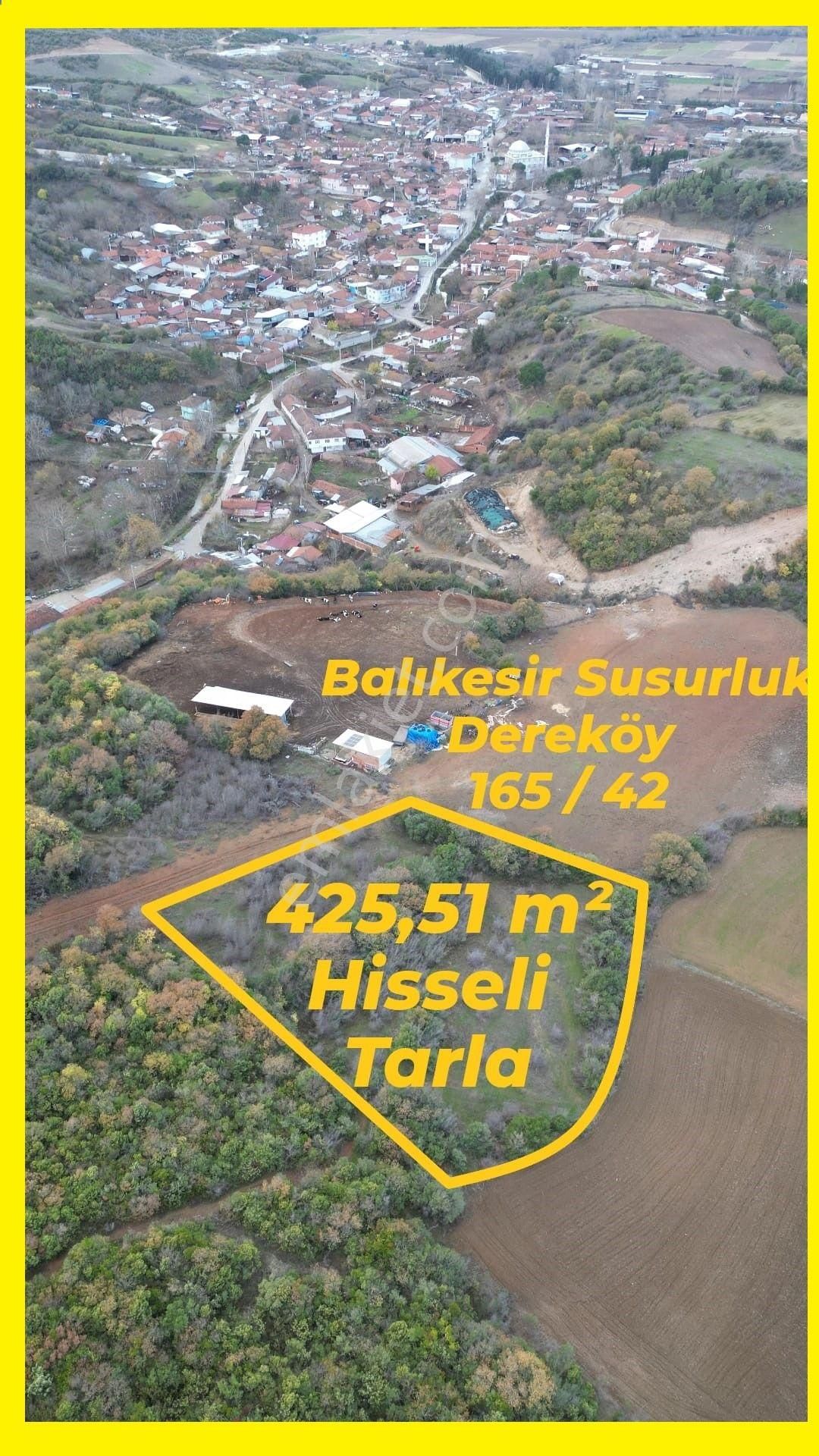 Susurluk Dereköy Satılık Tarla Balıkesir Susurluk Dereköy Mahallesi 425,51 M² Satılık Hisseli Tarla