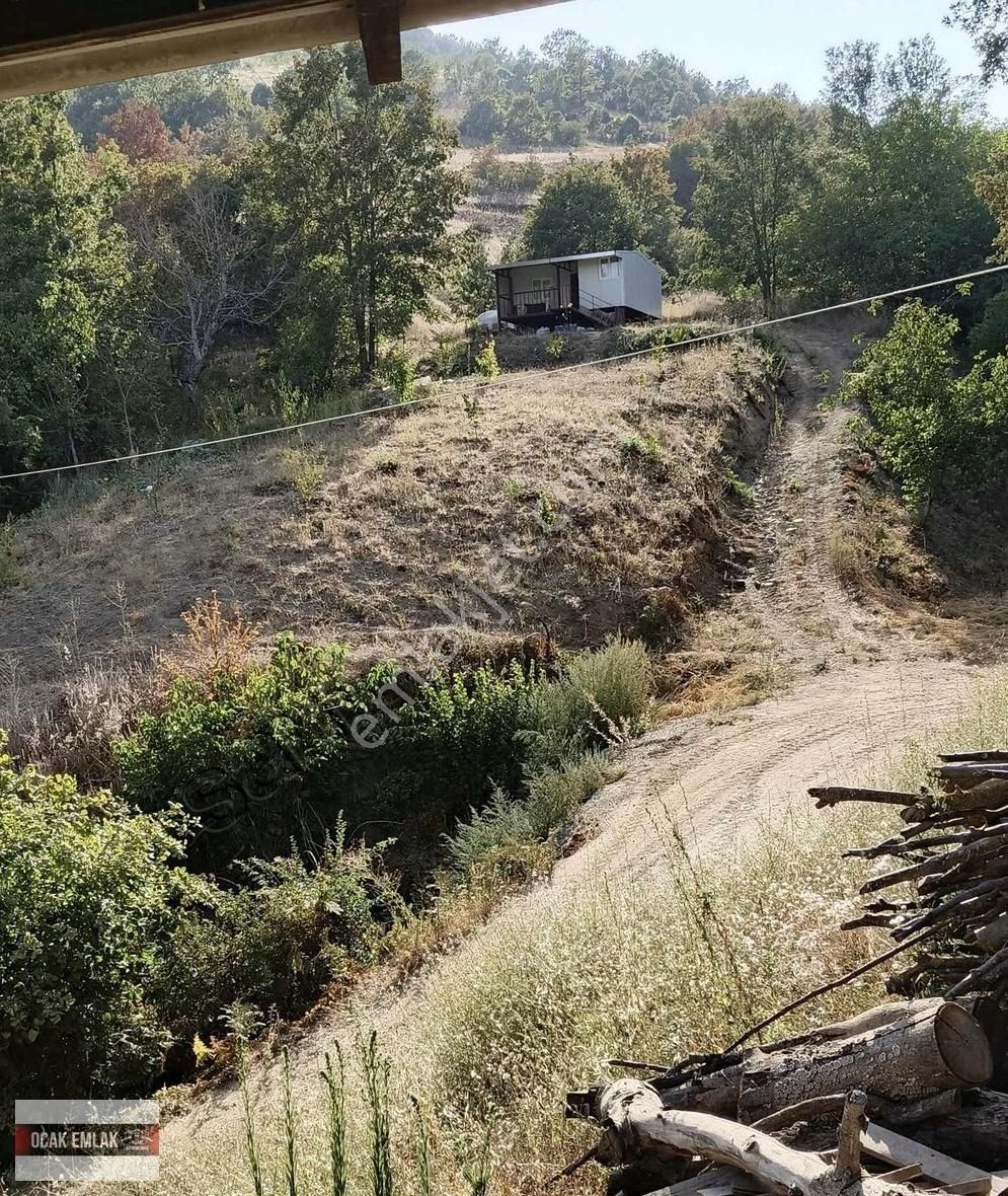 Orhaneli Göynükbelen Satılık Tarla Orhaneli Göynükbelen De Satılık 1492m2 Arazi Ve Ev(çilek,aronia)