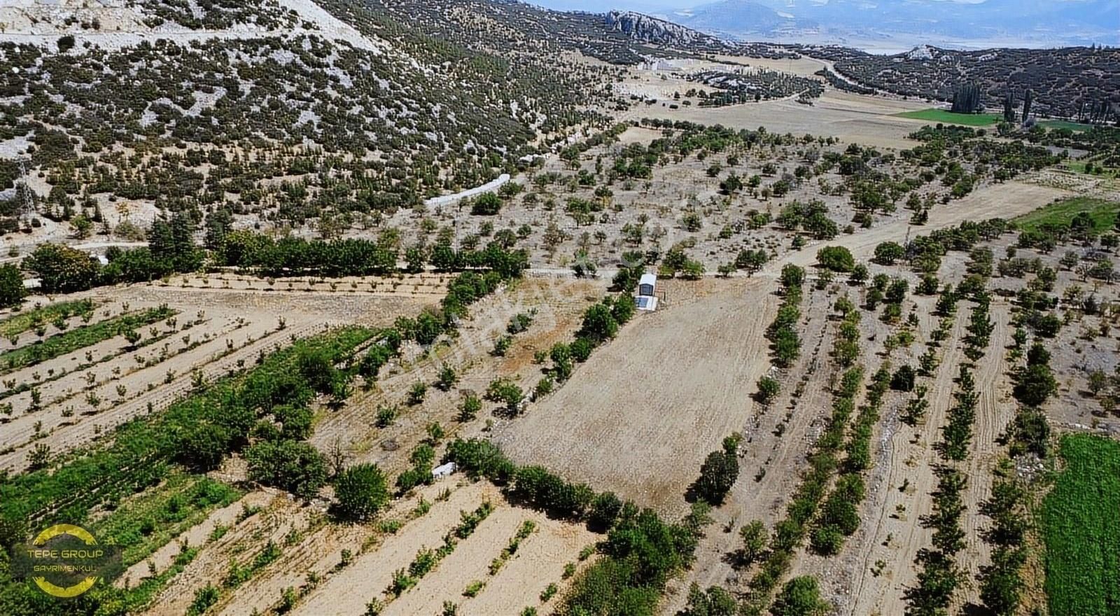 Yeşilova Yarışlı Köyü (Tekke) Satılık Tarla Burdur'da Saklı Cennet Yeşilova'da Satılık Hobi Bahçesi