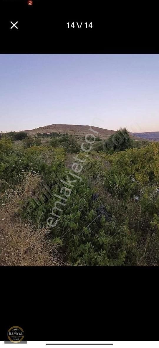 Felahiye Alparslan Mahallesi'nde 863m2 Tek Tapu Bakımlı Bağ - Görsel 10