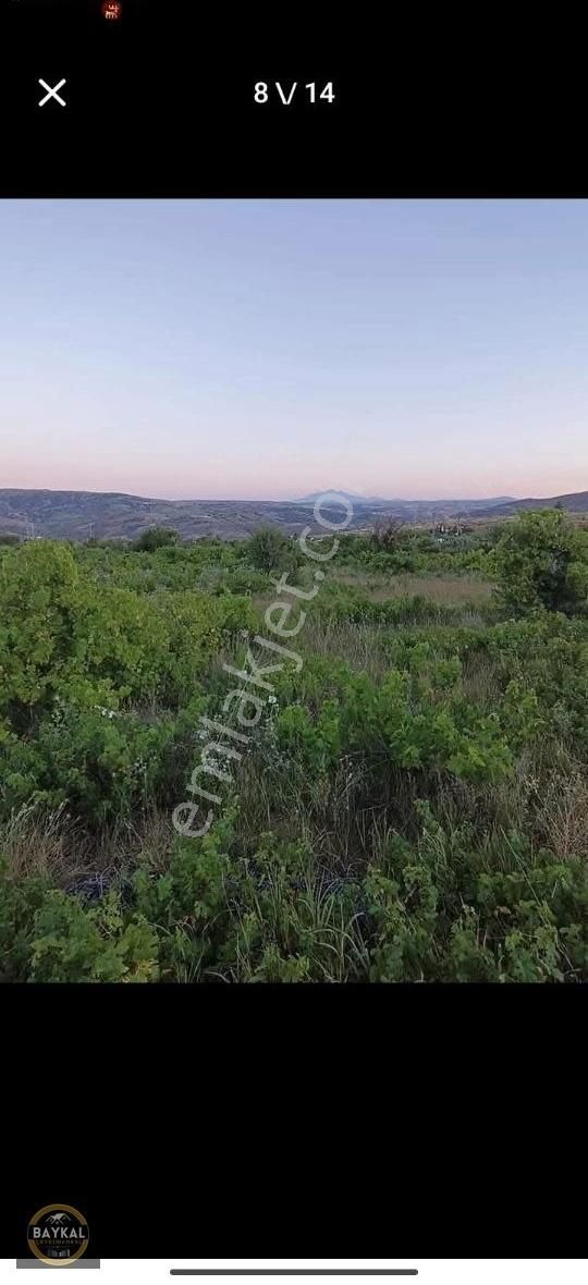 Felahiye Alparslan Mahallesi'nde 863m2 Tek Tapu Bakımlı Bağ - Görsel 2