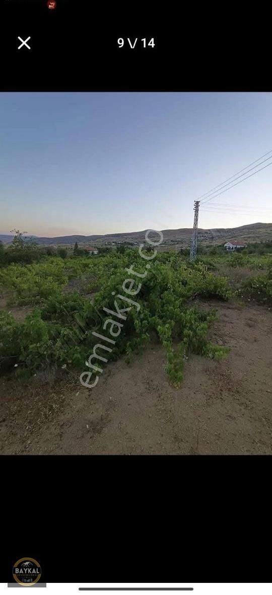 Felahiye Alparslan Satılık Bağ & Bahçe Felahiye Alparslan Mahallesi'nde 863m2 Tek Tapu Bakımlı Bağ