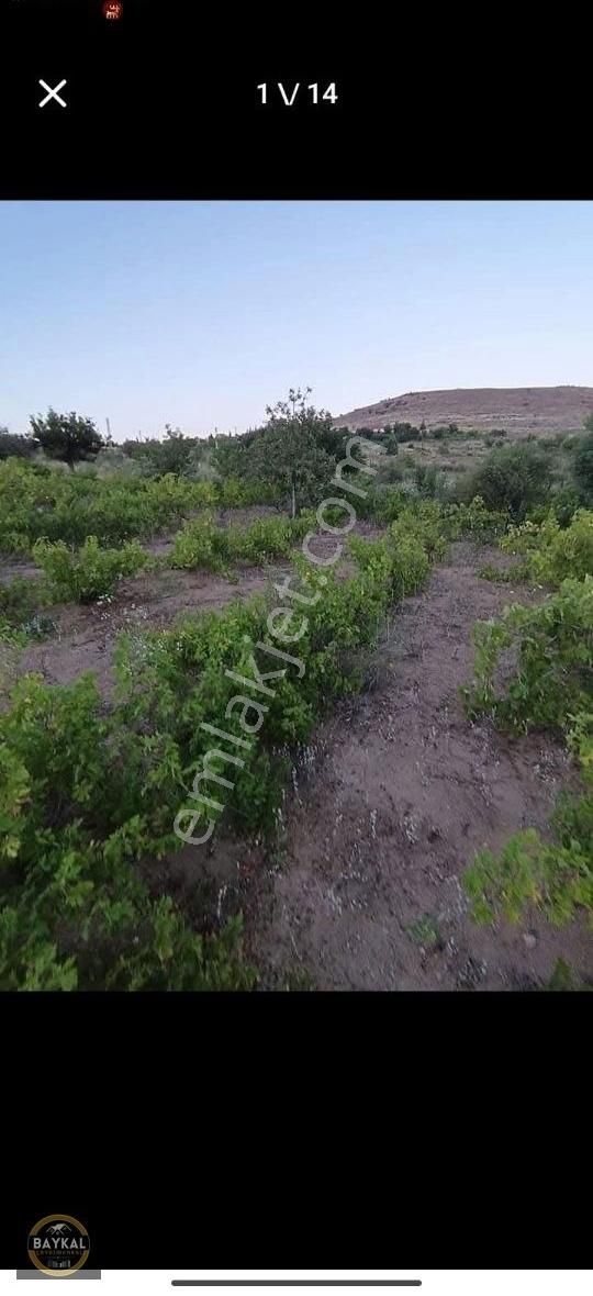 Felahiye Alparslan Mahallesi'nde 863m2 Tek Tapu Bakımlı Bağ - Görsel 8