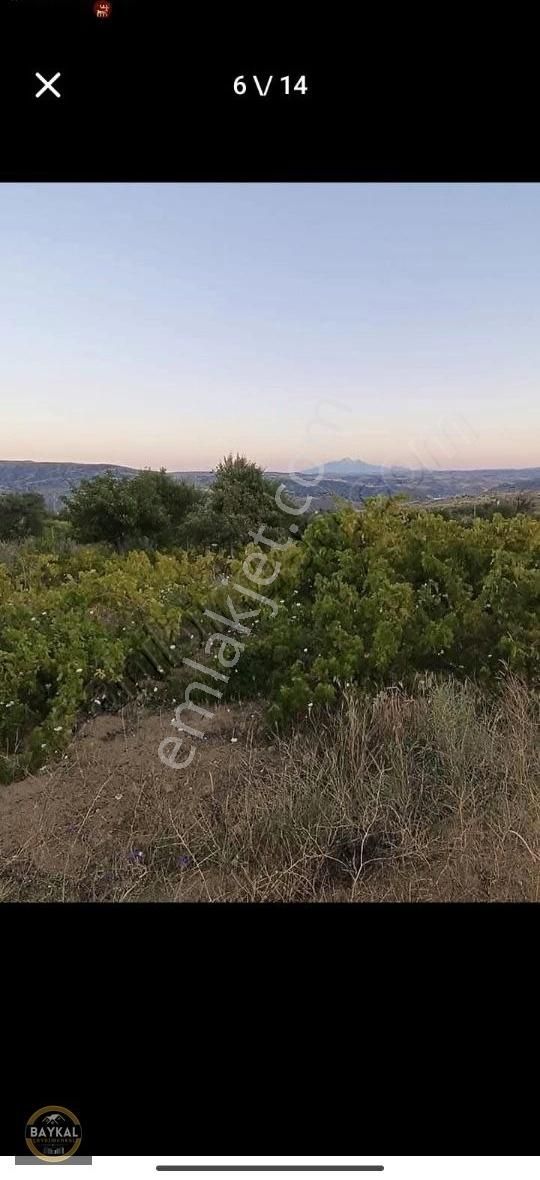 Felahiye Alparslan Mahallesi'nde 863m2 Tek Tapu Bakımlı Bağ - Görsel 7