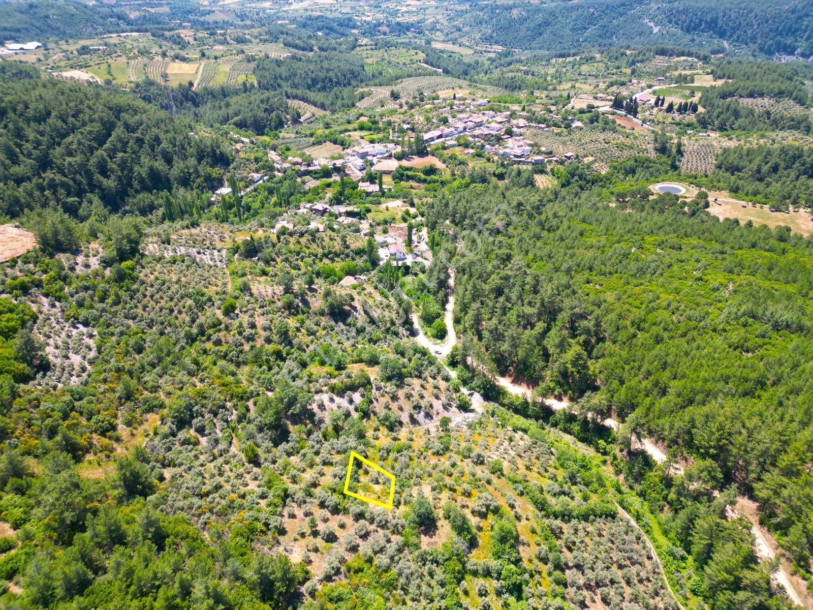 Muğla Yeniköyde Lavanta Bahçesinde Satılık Hobi Bahçesi