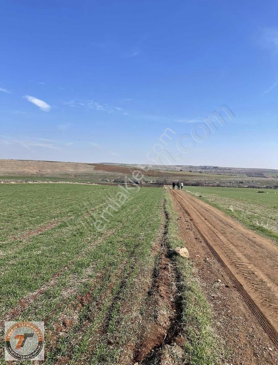 Şahinbey Kumruhamurkesen Satılık Tarla Tuğrul Emlakttan Fırsat Bağevlik Arazi K.hamurkese