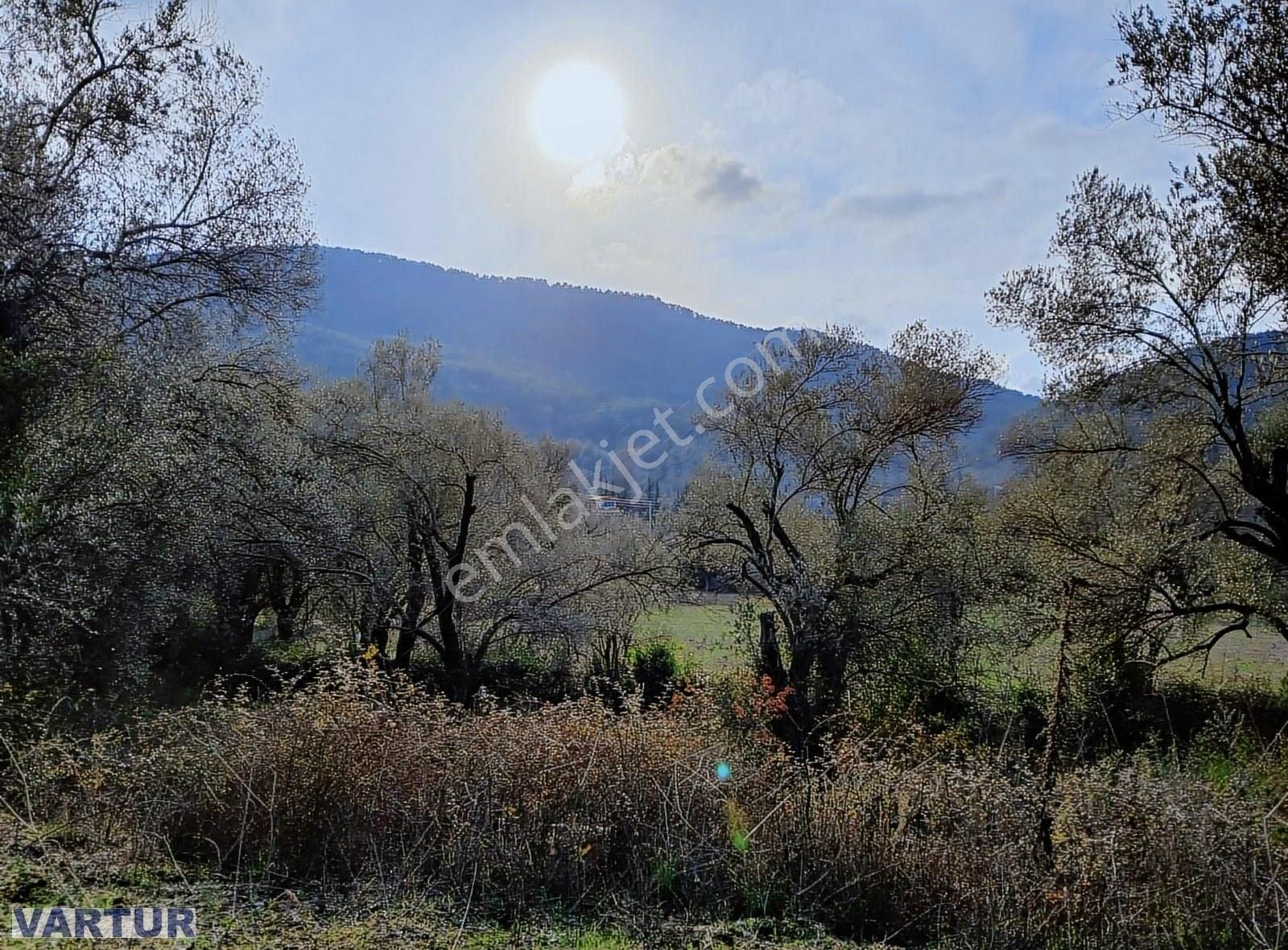 Fethiye Çenger Satılık Tarla Fethiye'nin En Güzel Köyü Çengerde Suyu Bol Olan Satılık Tarla