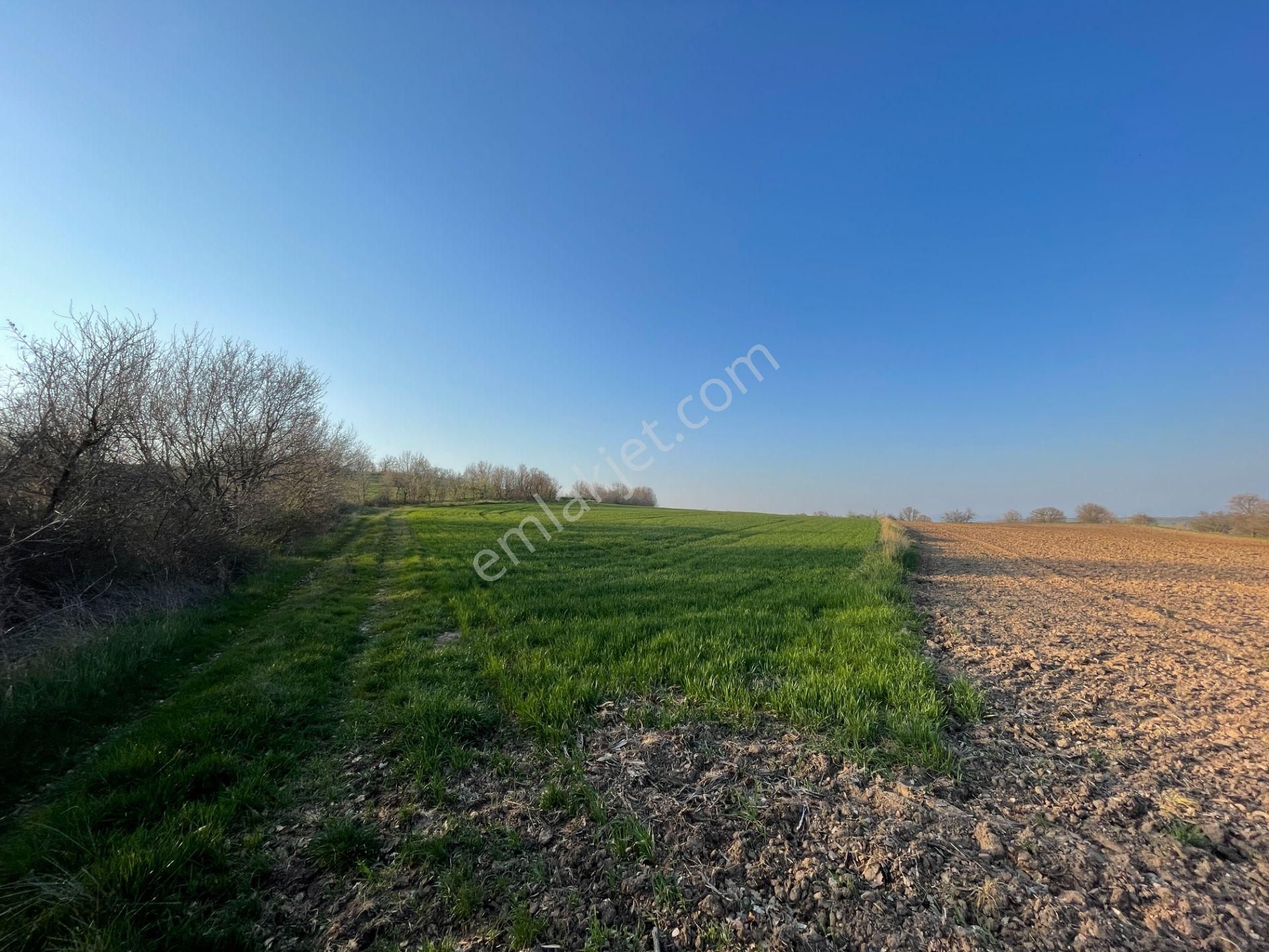 Lüleburgaz Celaliye Köyü Satılık Tarla Kırklareli Lüleburgaz Celaliye 14.900 M2 Satılık Tarla