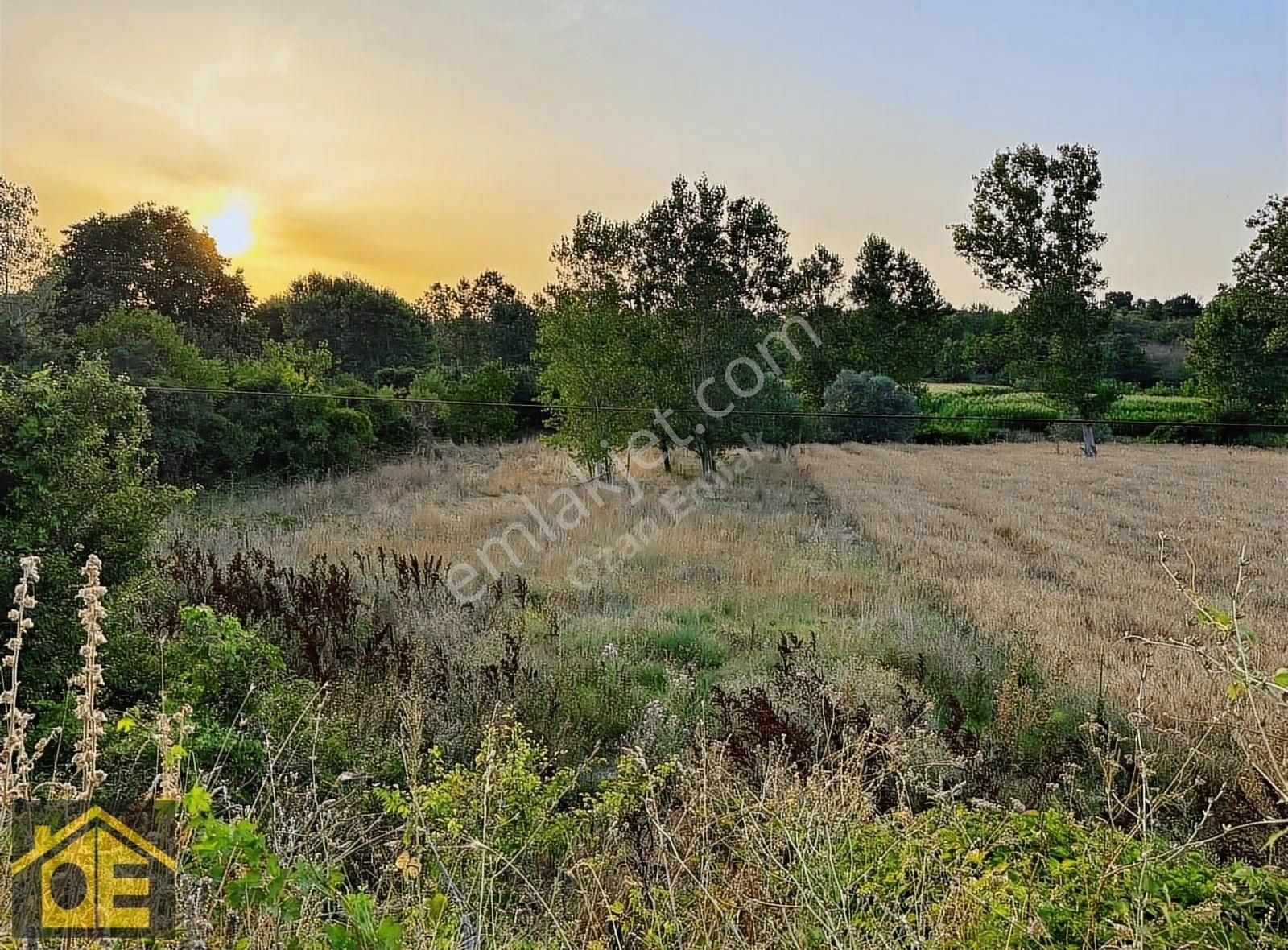 Pınarhisar Çayırdere Köyü Satılık Tarla Asfalt Ana Yola Cephe 1461 M2 Müstakil Parsel Merkezde Tarla