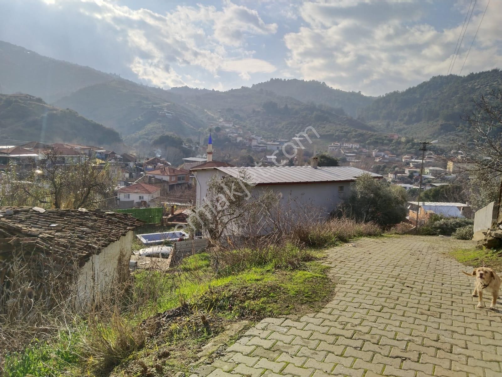 Turgutlu Satılık Tarla Çatal Köprü Mah Niteliği Zeytinlik 105m2 Yola Sıfır Manzarası Güzel - Görsel 11